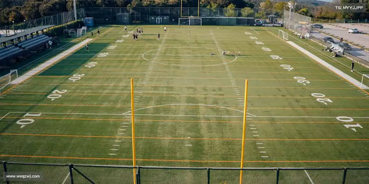 为什么选择我们